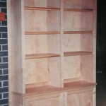 Malibu Davis Bookcase